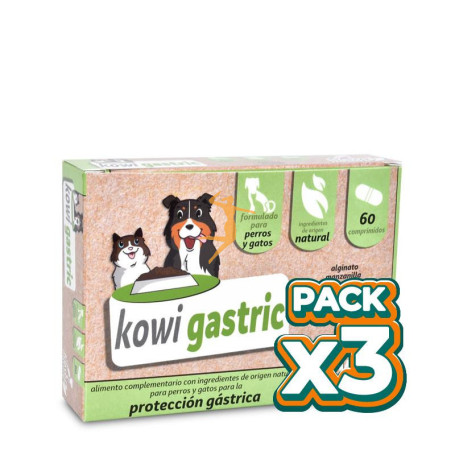 Pack 3x Kowi Gastric, 60 comprimidos KOWI NATURE