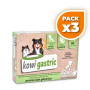 Pack 3x Kowi Gastric, 60 comprimidos KOWI NATURE