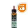 Pack 6x ELIXIR FLORAL 2 ASPEN 10Ml. PLANTI