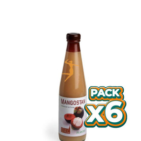 Pack 6x MANGOSTAN 500Ml. PLANTIS