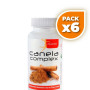 Pack 6x CANELA COMPLEX 90 CÁPSULAS PLANTIS