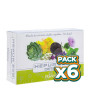 Pack 6x HEPUR ECO 20 VIALES PLANTIS