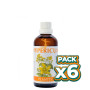 Pack 6x HYPERICUM PHYTOLIGO 100Ml. PLANTIS