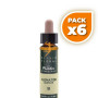 Pack 6x ELIXIR FLORAL 9 CLEMATIS 10Ml. PLANTIS