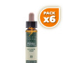 Pack 6x ELIXIR FLORAL 13 GORSE 10Ml. PLANTIS