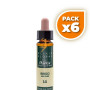 Pack 6x ELIXIR FLORAL 14 HEATHER 10Ml. PLANTIS