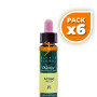 Pack 6x ELIXIR FLORAL 15 HOLLY 10Ml. PLANTIS