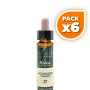 Pack 6x ELIXIR FLORAL 17 HORNBEAM 10Ml. PLANTIS