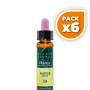 Pack 6x ELIXIR FLORAL 19 LARCH 10Ml. PLANTIS