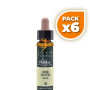 Pack 6x ELIXIR FLORAL 36 AVENA SILVESTRE 10ML PLANTIS
