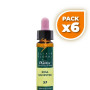 Pack 6x ELIXIR FLORAL 37 ROSA SILVESTRE 10ML PLANTIS