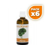 Pack 6x OLIGOGINKGO 100Ml. PLANTIS