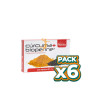Pack 6x CURCUMA CON BIOPERINE 60 CAPSULAS PLANTIS