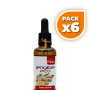 Pack 6x EXTRACTO DE JENGIBRE ECO 50ML PLANTIS