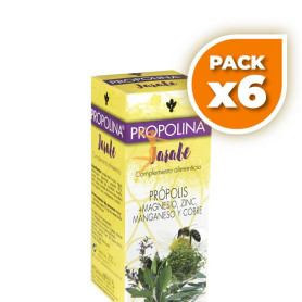 Pack 6x PROPOLINA 200Ml. ARTESANIA AGRICOLA