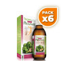 Pack 6x ALCACHOFA ACTIV JARABE 200Ml. TEGOR