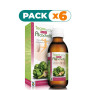 Pack 6x ALCACHOFA ACTIV JARABE 200Ml. TEGOR