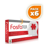 Pack 6x FOSFATER 40 CÁPSULAS TEGOR