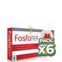 Pack 6x FOSFATER 40 CÁPSULAS TEGOR