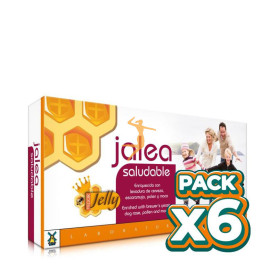 Pack 6x JALEA SALUDABLE 20 VIALES DE 10Ml. TEGOR