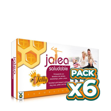 Pack 6x JALEA SALUDABLE 20 VIALES DE 10Ml. TEGOR