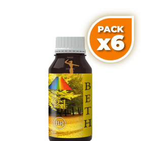 Pack 6x BETH 21 BR 250Ml. BEQUISA
