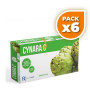 Pack 6x CYNARA C 20 VIALES BEQUISA