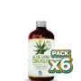 Pack 6x ALOE VERA CON PULPA 1Lt. BEQUISA