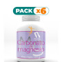 Pack 6x CARBONATO DE MAGNESIO 180Gr. BEQUISA