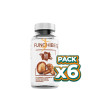 Pack 6x FUNGHIBEQ 60 CÁPSULAS BEQUISA