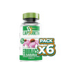 Pack 6x CAPSUBETH EQUINACEA 60 CÁPSULAS BEQUISA