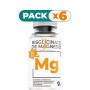 Pack 6x BISGLICINATO DE MAGNESIO 90 CAPSULAS BEQUISA