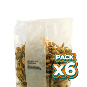 Pack 6x CARAMELOS DE MIEL 1KG MAESE HERBARIO
