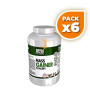 Pack 6x MASS GAINER CONCEPT CHOCO 1,5Kg. MEGAPLUS