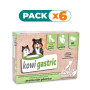 Pack 6x Kowi Gastric, 60 comprimidos KOWI NATURE