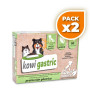 Pack 2x Kowi Gastric, 60 comprimidos KOWI NATURE