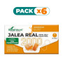 Pack 6x JALEA REAL 2000 CON PROBIÓTICOS 20 VIALES SORIA NATURAL