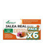 Pack 6x JALEA REAL DEFENS CON PROBIÓTICOS 20 VIALES SORIA NATURAL