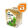 Pack 3x INFUSIONES GALLEXIER SALUS