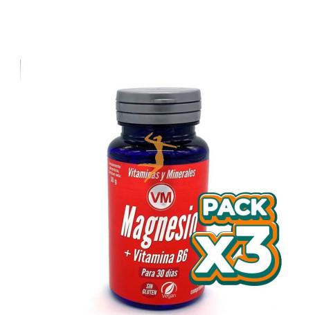 Pack 3x MAGNESIO + VITAMINA B6 ENVASE DE 60 COMPRIMIDOS YNSADIET