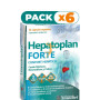 Pack 6x HEPATOPLAN FORTE 30 CAPSULAS VEGETALES YNSADIET