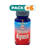Pack 6x BISGLICINATO DE MAGNESIO 90 CAPSULAS VEGETALES YNSADIET