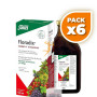 Pack 6x FLORADIX 500Ml. SALUS