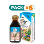 Pack 6x FLORADIX KINDERVITAL JARABE 250Ml. SALUS