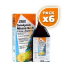 Pack 6x SALUDYNAM JARABE 250Ml. SALUS