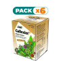 Pack 6x INFUSIONES GALLEXIER SALUS