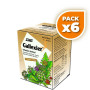 Pack 6x INFUSIONES GALLEXIER SALUS