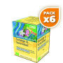 Pack 6x SOSIEGO Y SERENIDAD INFUSIÓN DE FLORES DE BACH SALUS