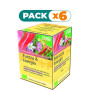 Pack 6x FUERZA Y ENERGÍA INFUSIÓN DE FLORES DE BACH SALUS