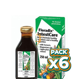 Pack 6x INTESTCARE JARABE 250Ml. SALUS